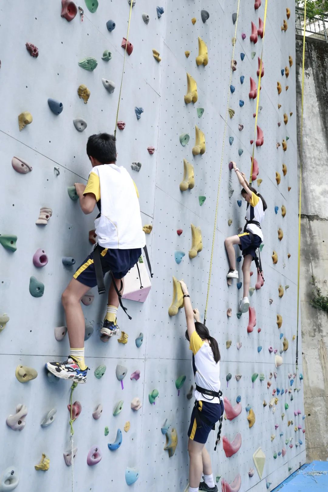 前方高能谁演的,前方高能校园歌手演唱瞬间