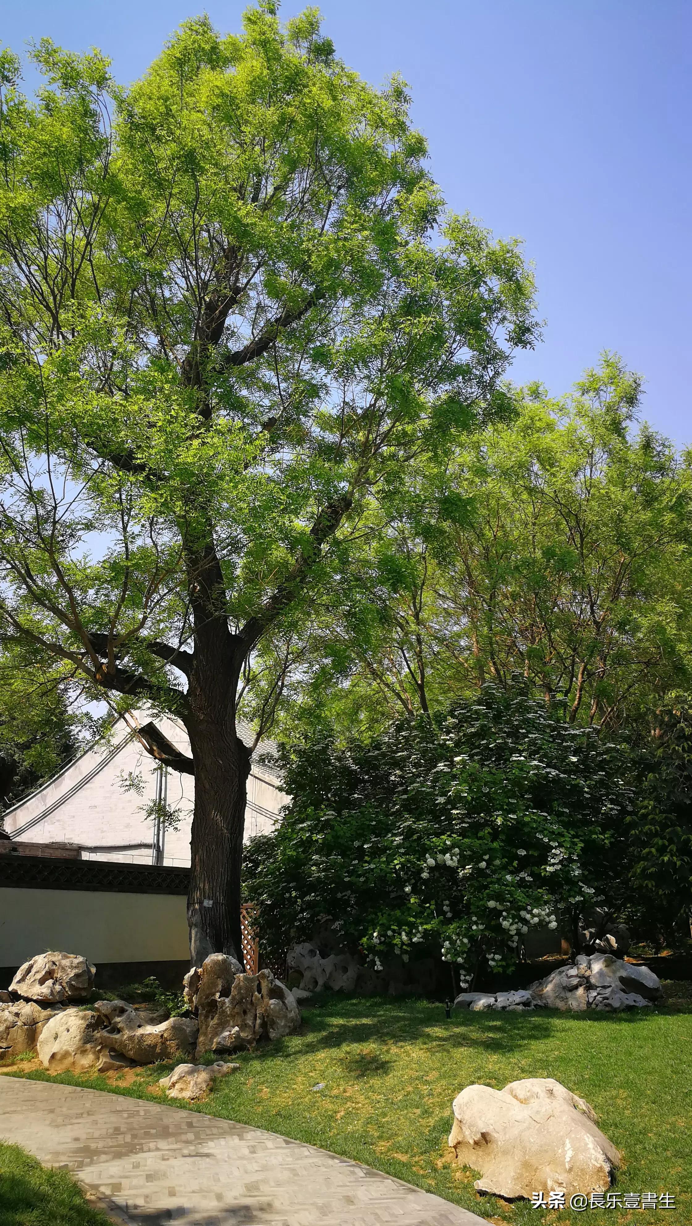 中国园林博物馆游览时间表,小众游玩强烈推荐北京园林博物馆