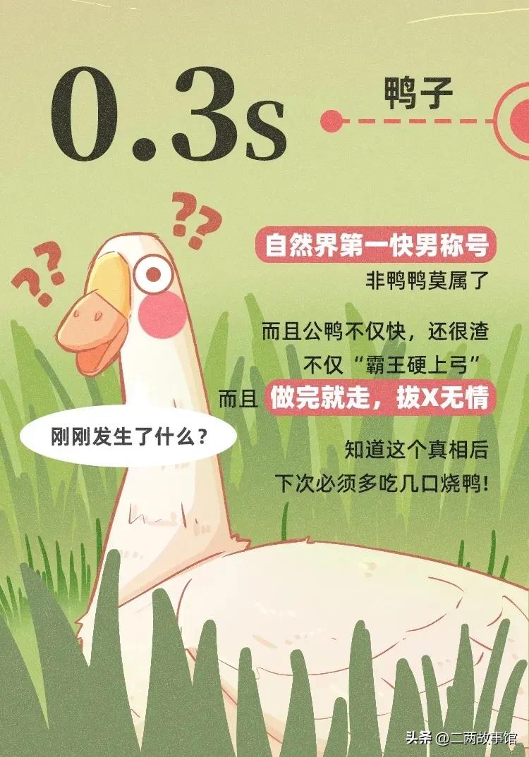 漫画：动物界交配时间轴