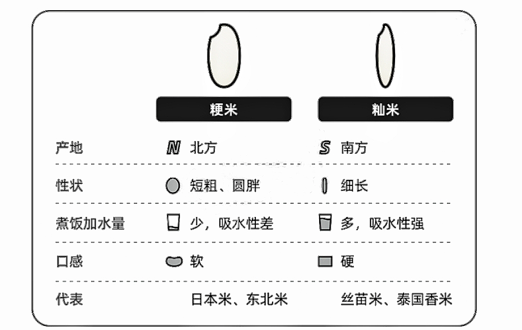 大米和籼米的区别,大米籼米粳米的区别