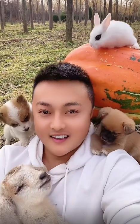 “狗界巅峰”：“把鸭当妈”骑鸭背上，全网最萌小狗吸粉550万