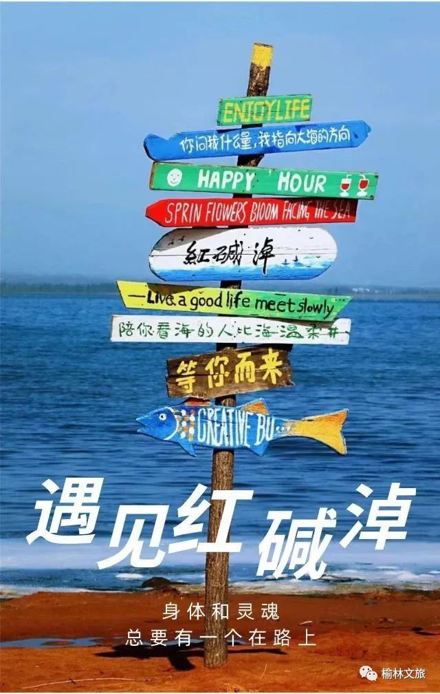 榆林神木神奇的地方,县长带你看横山