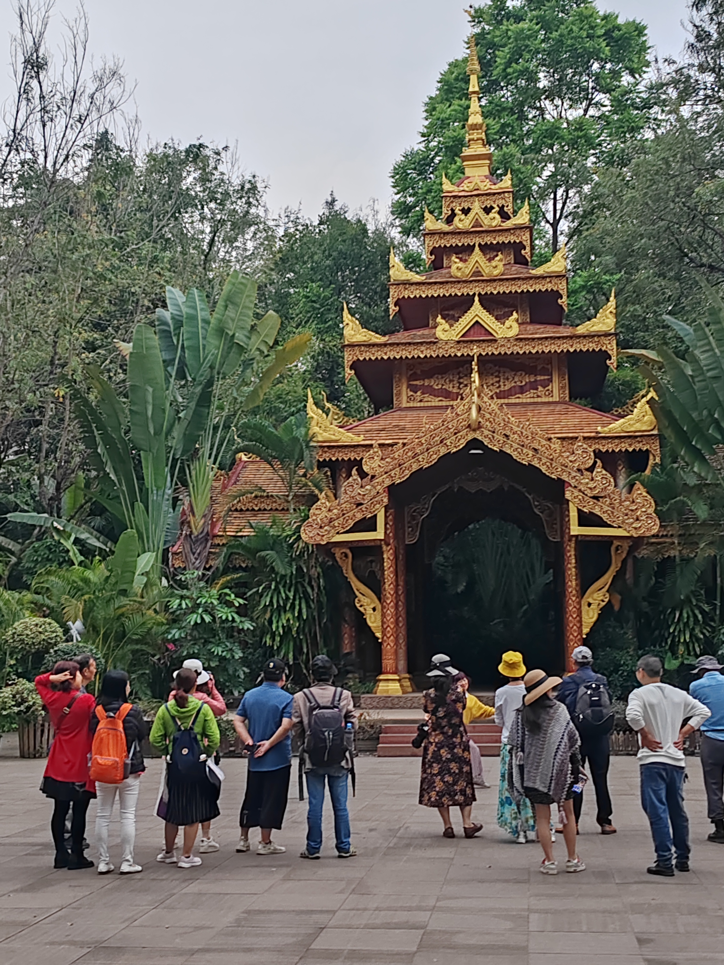 西双版纳曼听园攻略,云南西双版纳打卡曼听公园