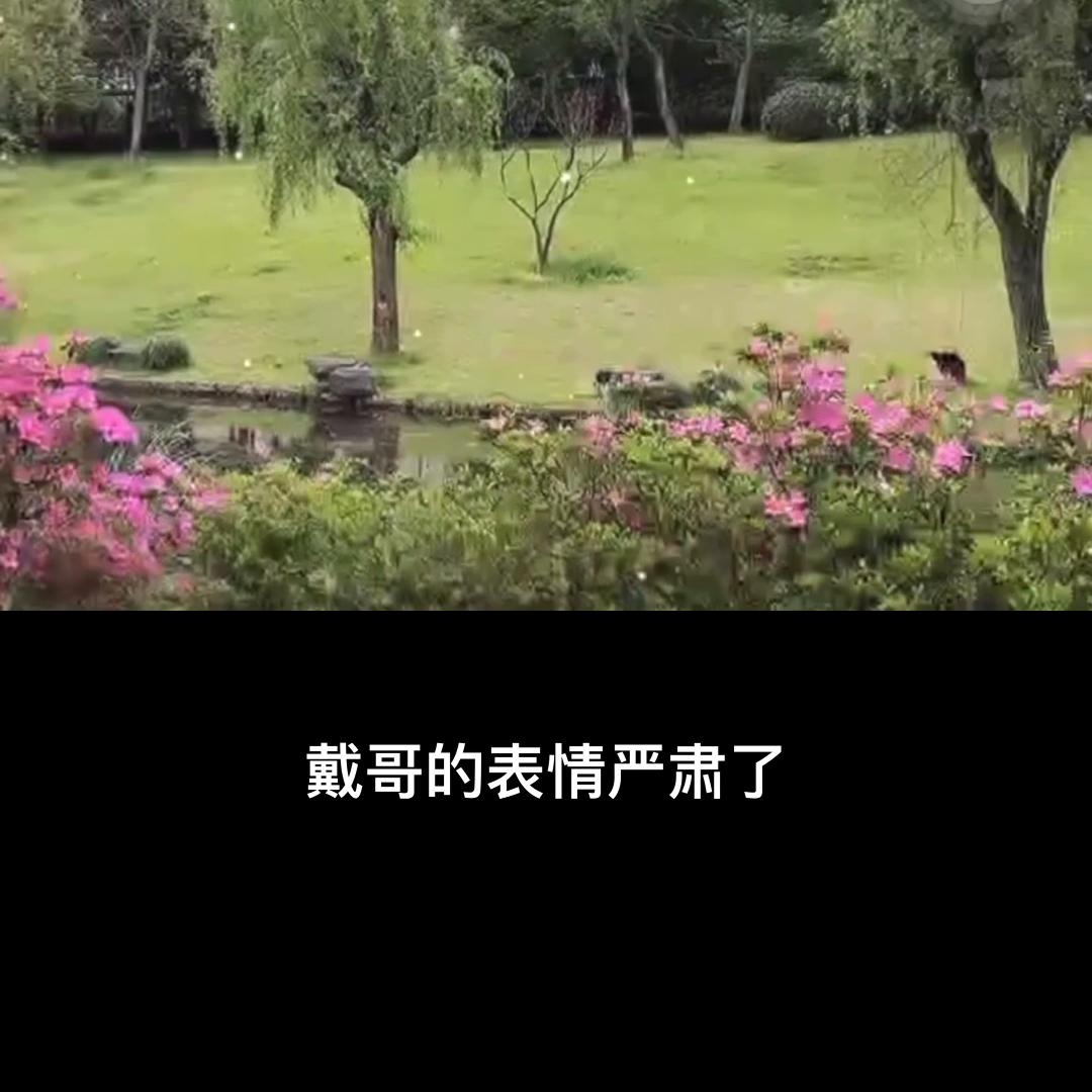 74章（5）收租风波@抖音短视频