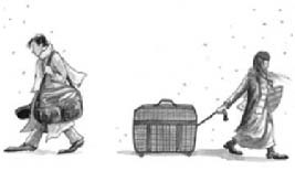 2024年威海物理一模答案,山东威海物理一模原题答案2023