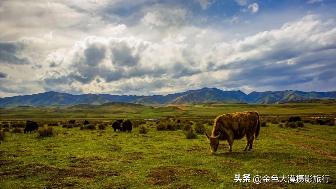三大藏区的具体划分，你都知道吗？