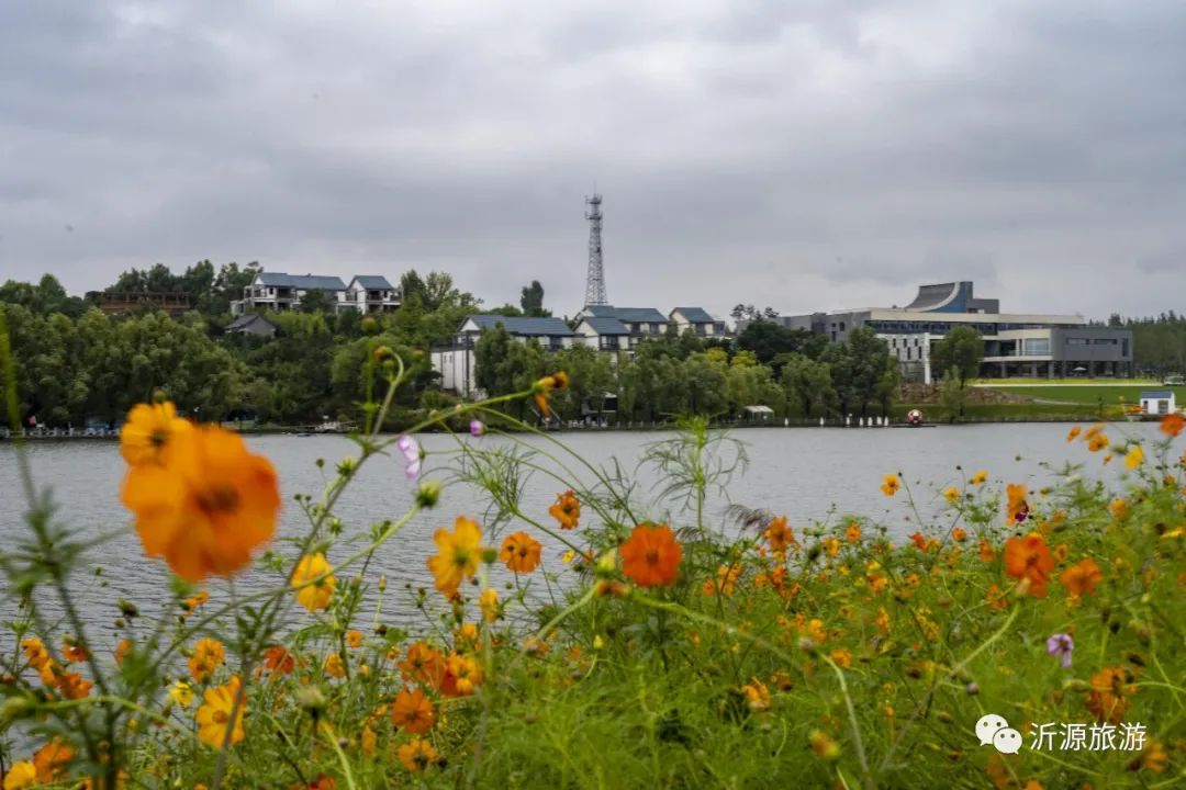 淄博春天赏花,淄博赏花时间表