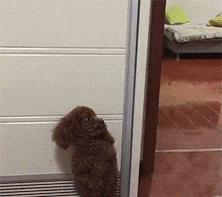 为什么要叫月经大姨妈,为什么说月经是大姨妈