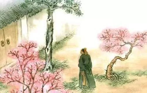 哪种常见水果是我国本土水果,哪种水果是我国本土的水果