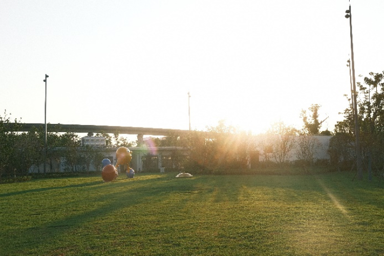 上海大型公园改扩建,上海古镇改造商场