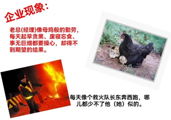 猴子管理法则,猴子管理法则案例分析