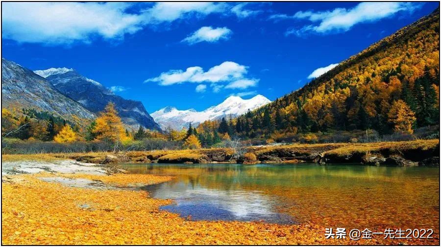 什么是资本公积金？资本公积能弥补公司亏损吗？