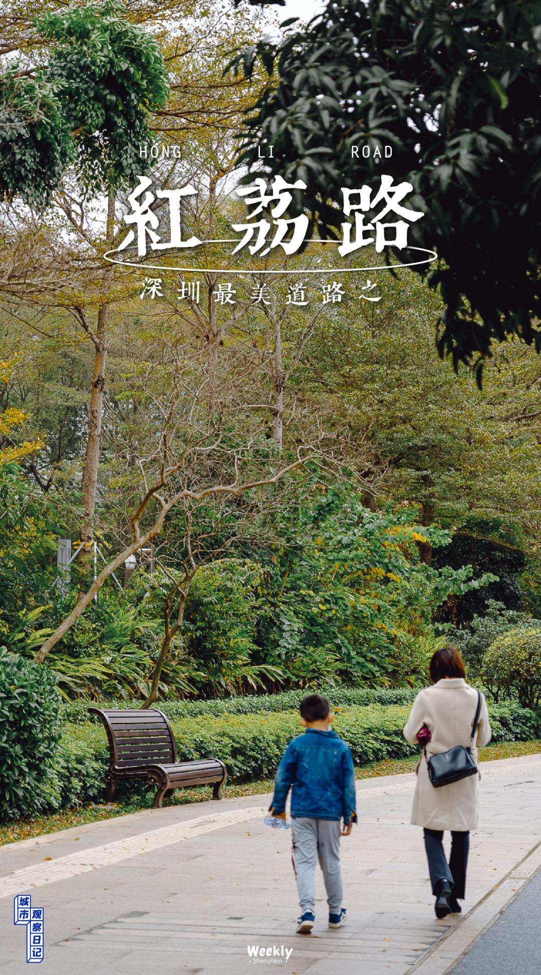 好好走过红荔路，才知道住福田有多让人羡慕