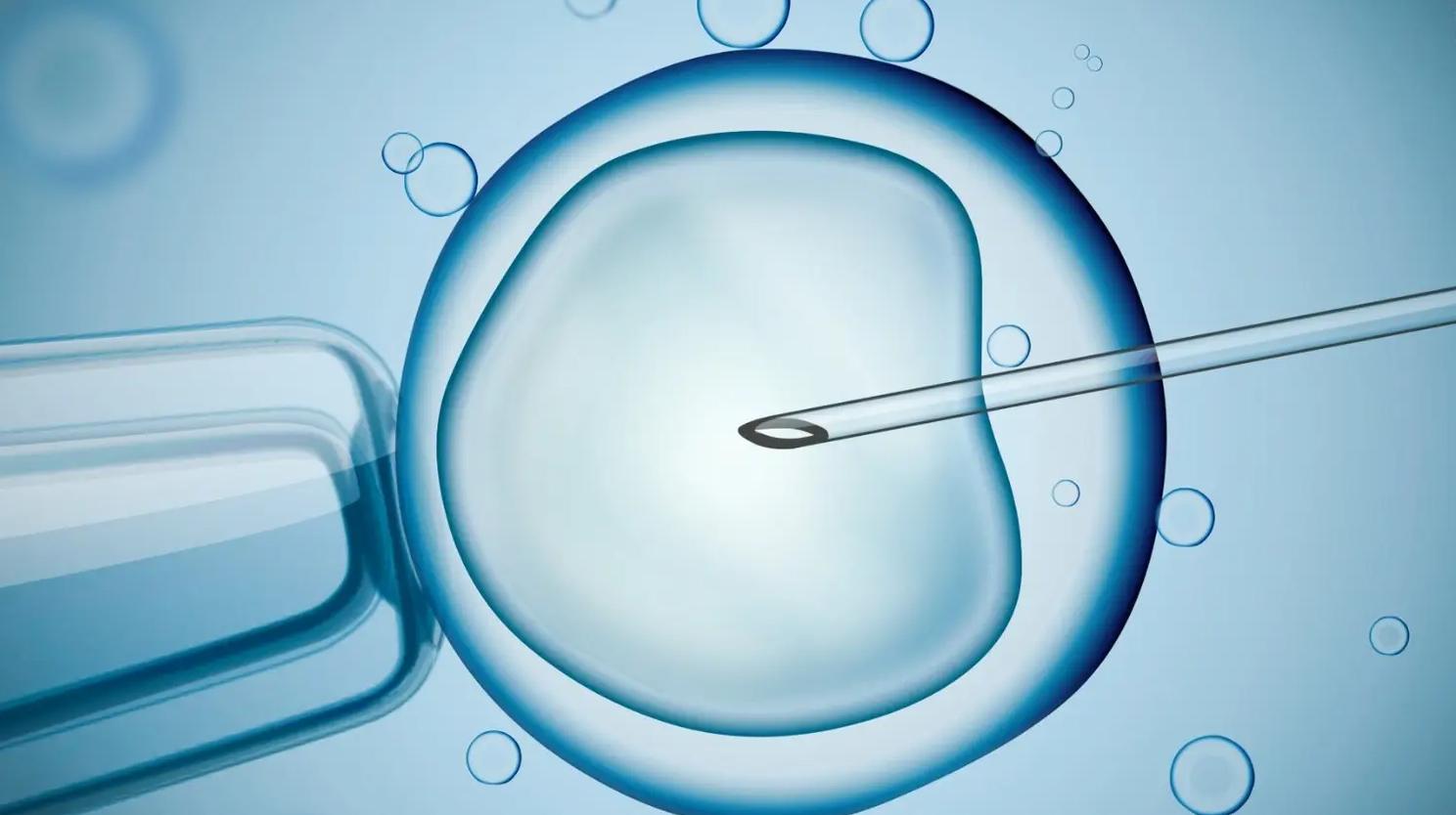 备孕多年终于怀上了孩子,备孕多年终于怀上孩子