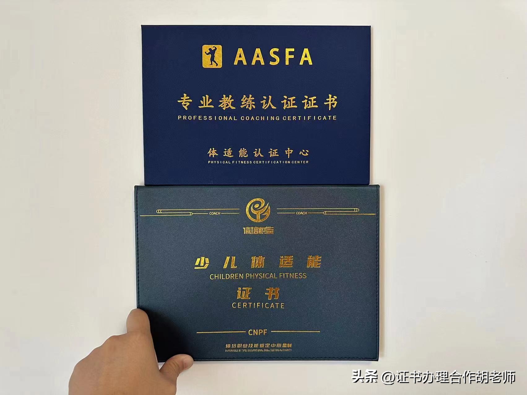 体适能教练资格证如何自己报名,少儿体适能教练证怎么样