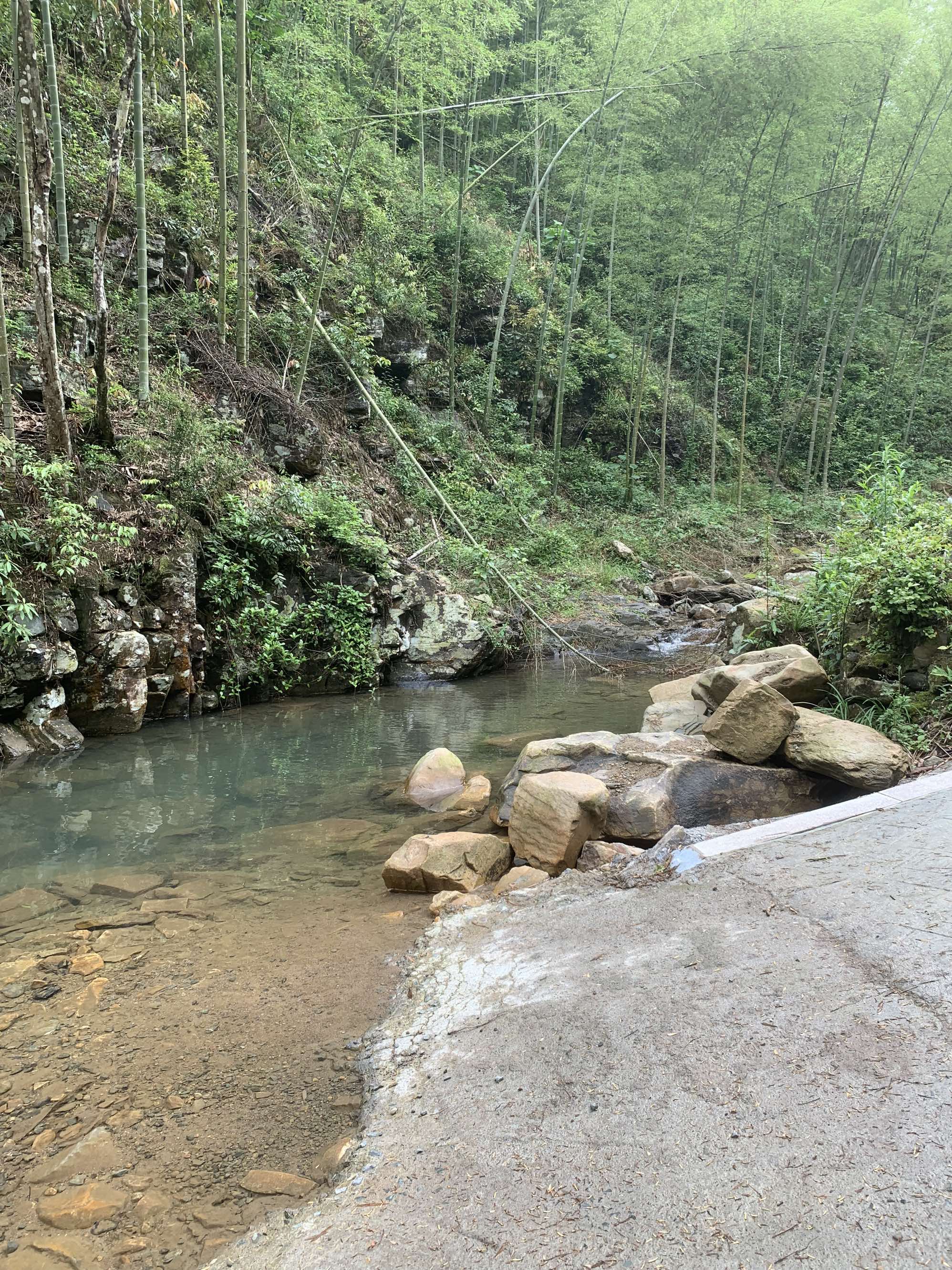 高高的紫云山,我们的青春故事曾在这里演绎