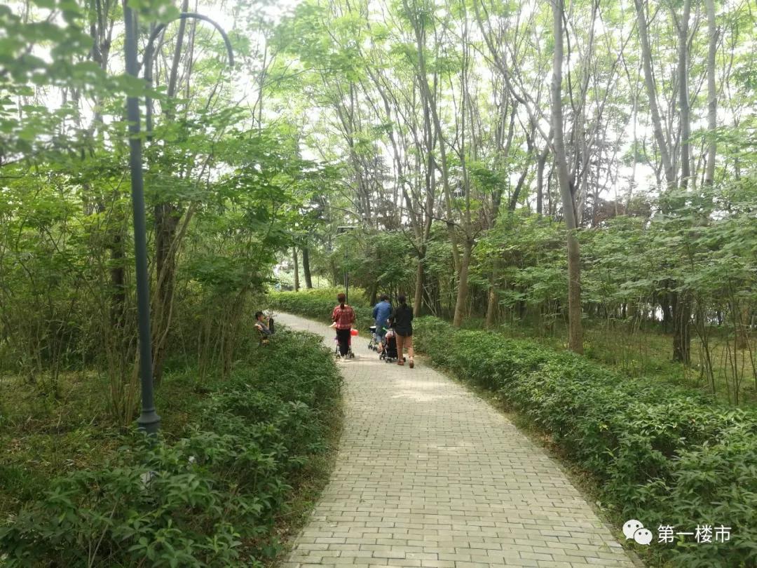 最新合肥小区物业排名,合肥物业排名前十的品牌