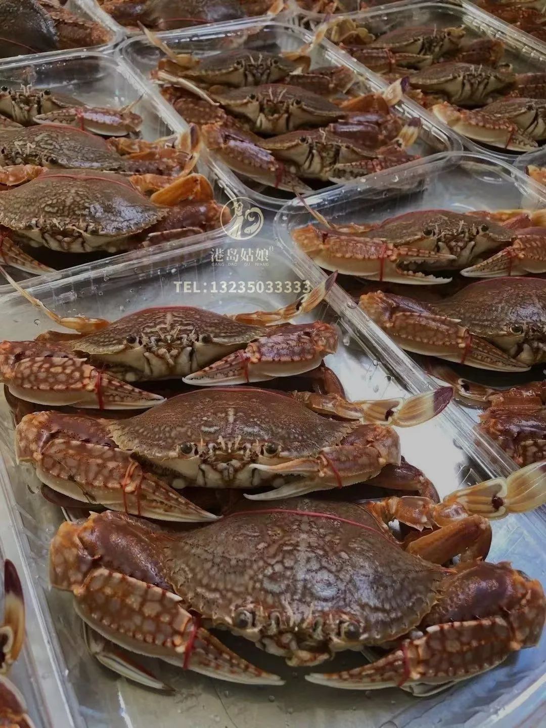 扁蟹的市场销售价格,扁蟹出口哪个国家