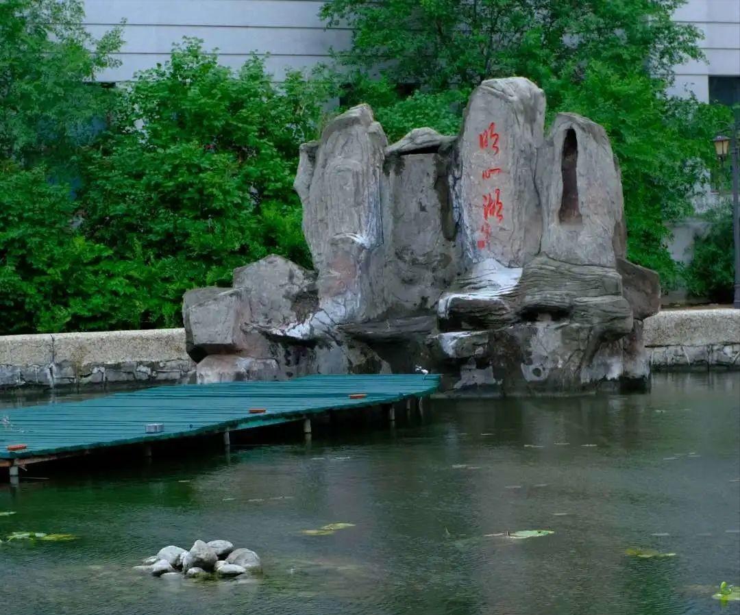 杏林蔚然,洞见乾坤!哈尔滨医科大学:拾级而上,96层高阁藏奇珍