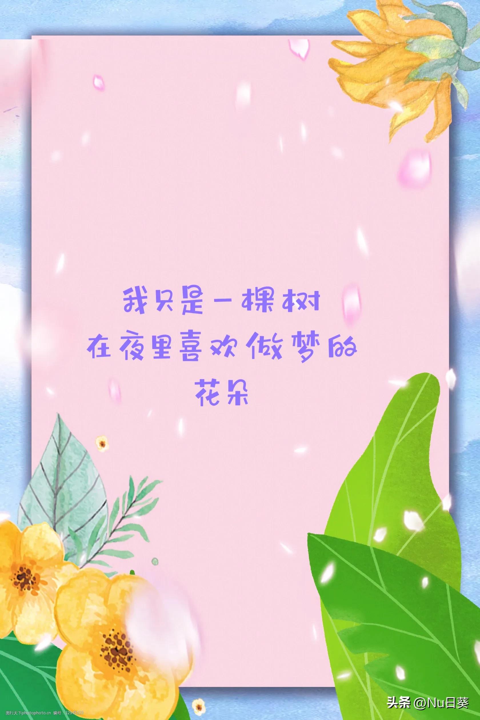 文章流量加油包,小说专属流量包