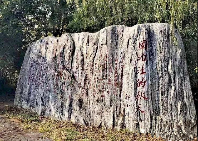 郭小川团泊洼的秋天,团泊洼的秋天读后感