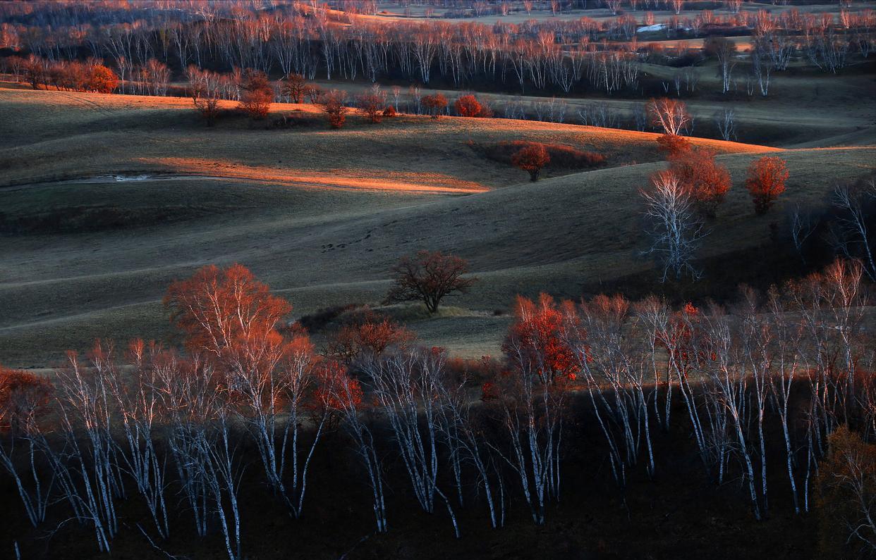 斑驳秋光影，晚来更深情