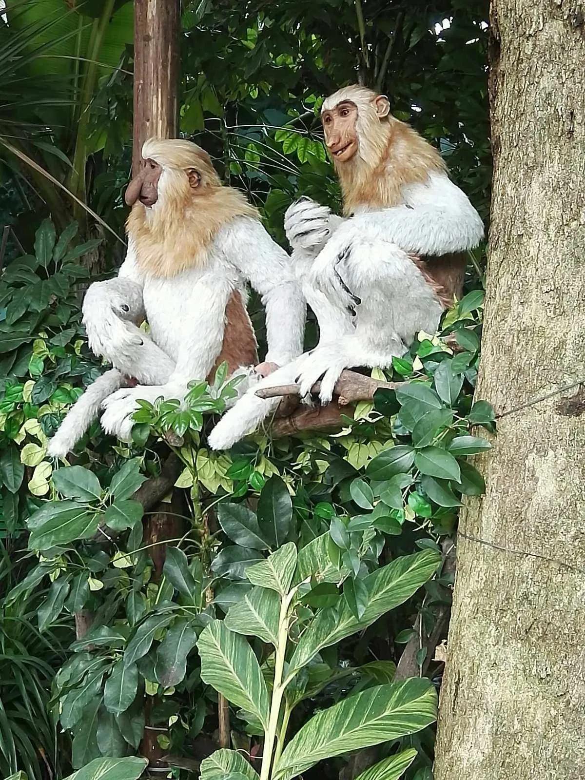广州长隆野生动物世界有大象吗,广州长隆野生动物世界有多少动物