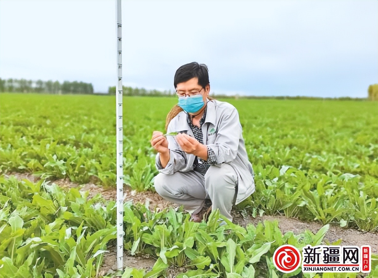 全市生物医药产业观察,迎着朝阳奔跑在健康路上