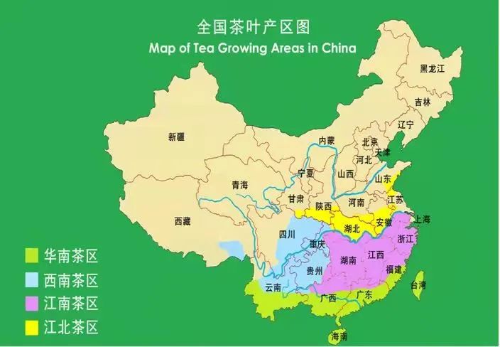 茶叶种类大全大红袍,茶叶的种类口感介绍