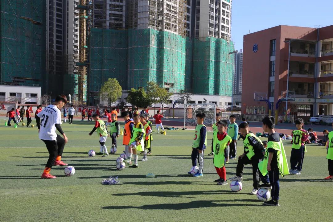 我为群众办实事公益讲堂,我为群众办实事学生版活动方案