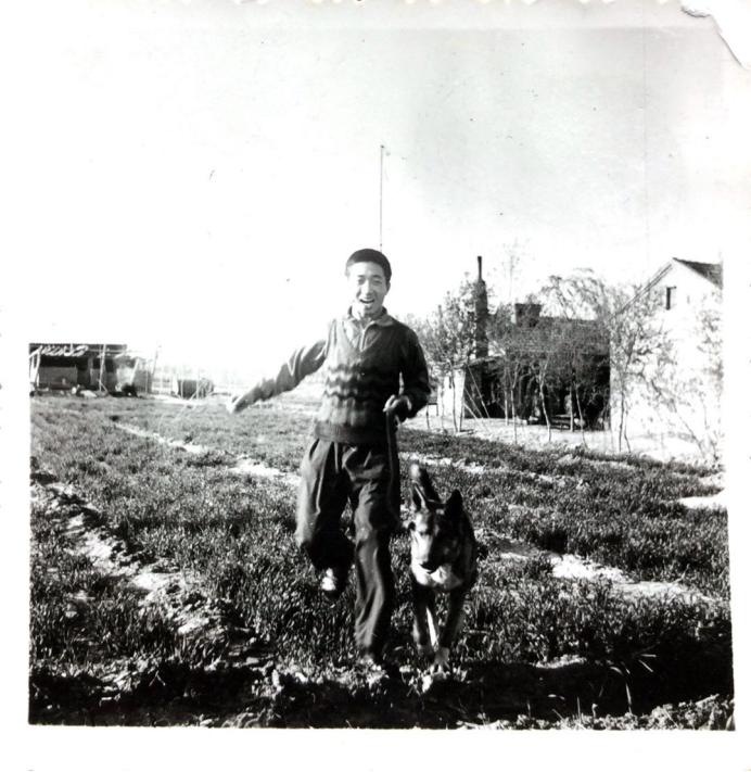 无悔的青春，不散的军魂——致敬八一