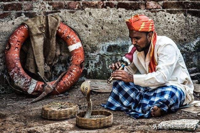 神秘、危险的珠宝题材！被大牌追捧的潮流时尚？45款蛇类珠宝盘点