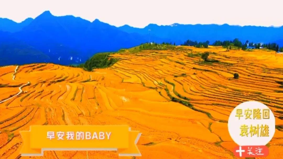 又想起以前的事,又想起那次比赛作文