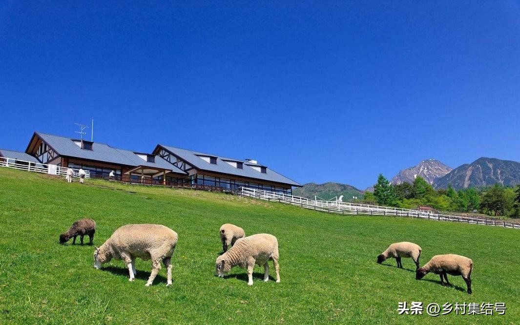 关西六甲山牧场在哪里,六甲山牧场门票多少钱