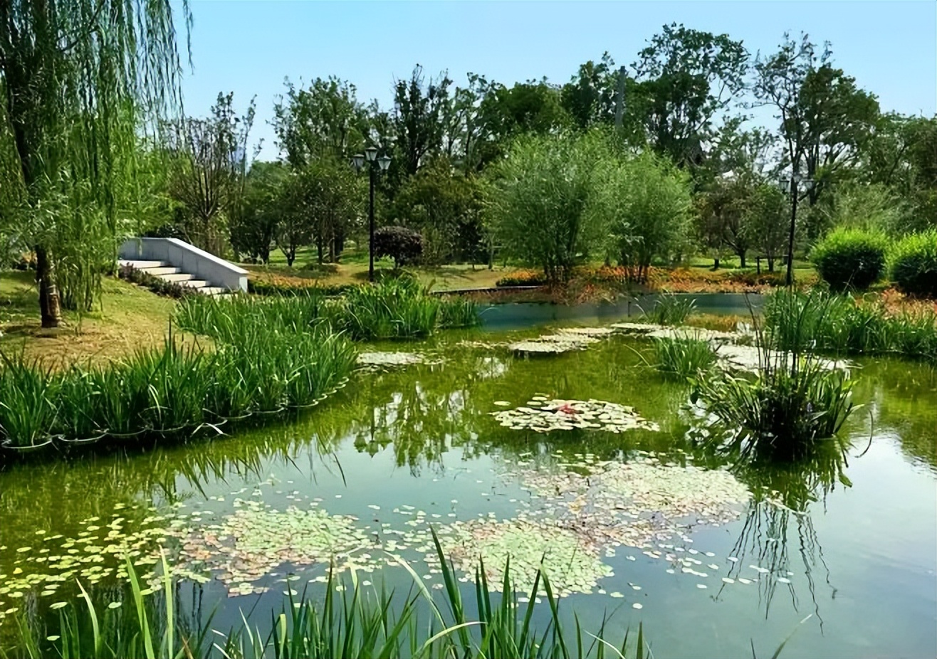 农村黑臭水体治理由哪个部门负责,福建漳浦：黑臭水体治理见行见效