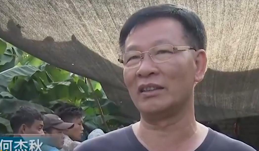 万尾鱼苗离奇失踪,鱼苗死亡鱼苗老板有责任吗