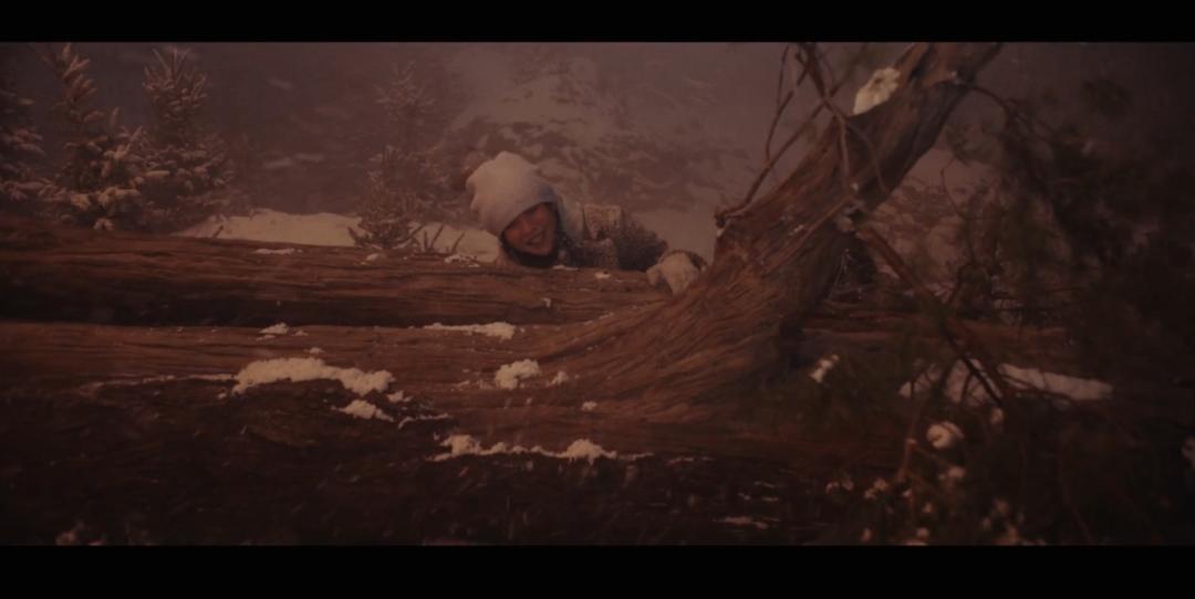 月球上是否有生物存在为什么,月球陨落真相细思极恐