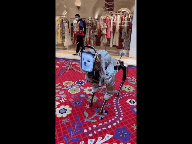 遛机械狗兼职,遛机械狗