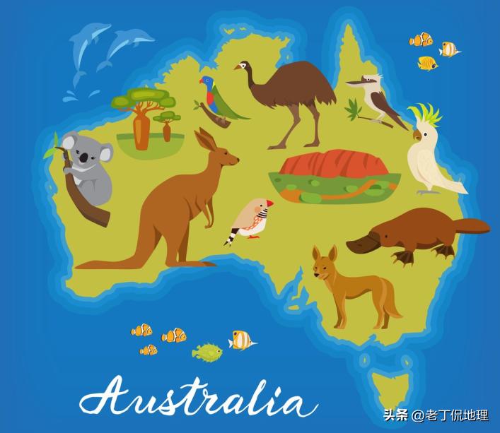 世界杯巡礼桑巴军团6,世界杯袋鼠军团