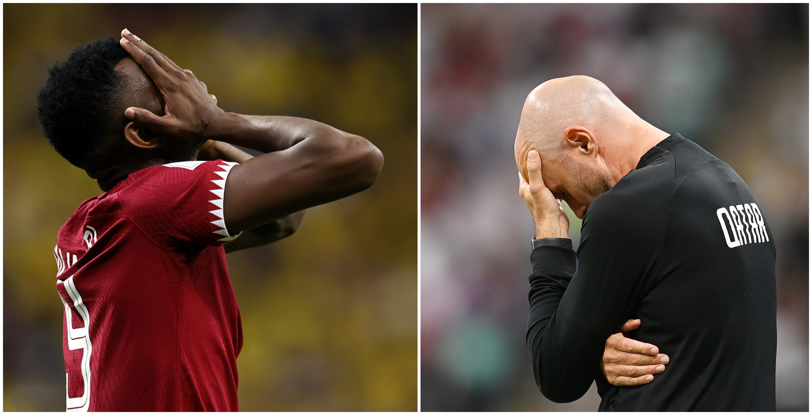 上届世界杯法国打败谁,南非世界杯和卡塔尔世界杯