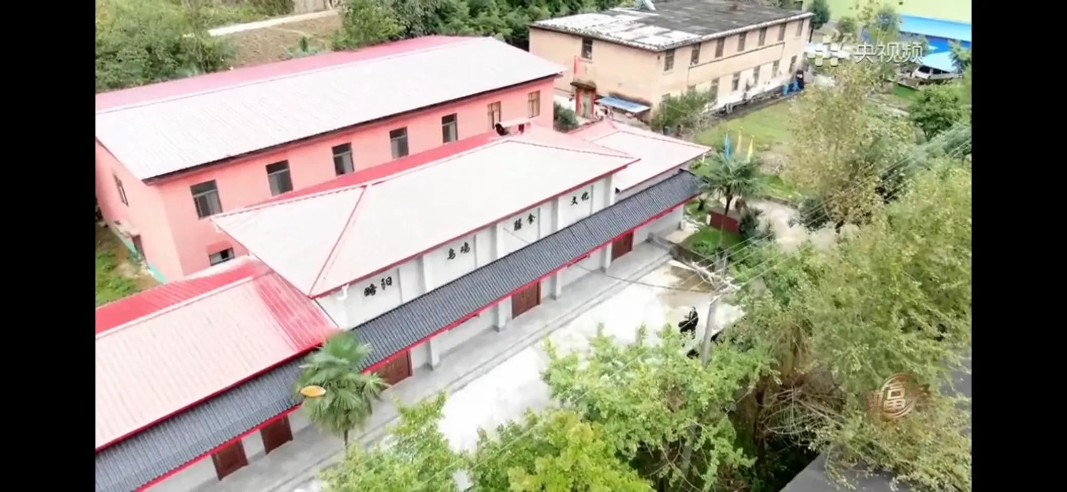 10万多只鸡养鸡场一年能挣多少,回村搞农业养殖一只鸡卖一万