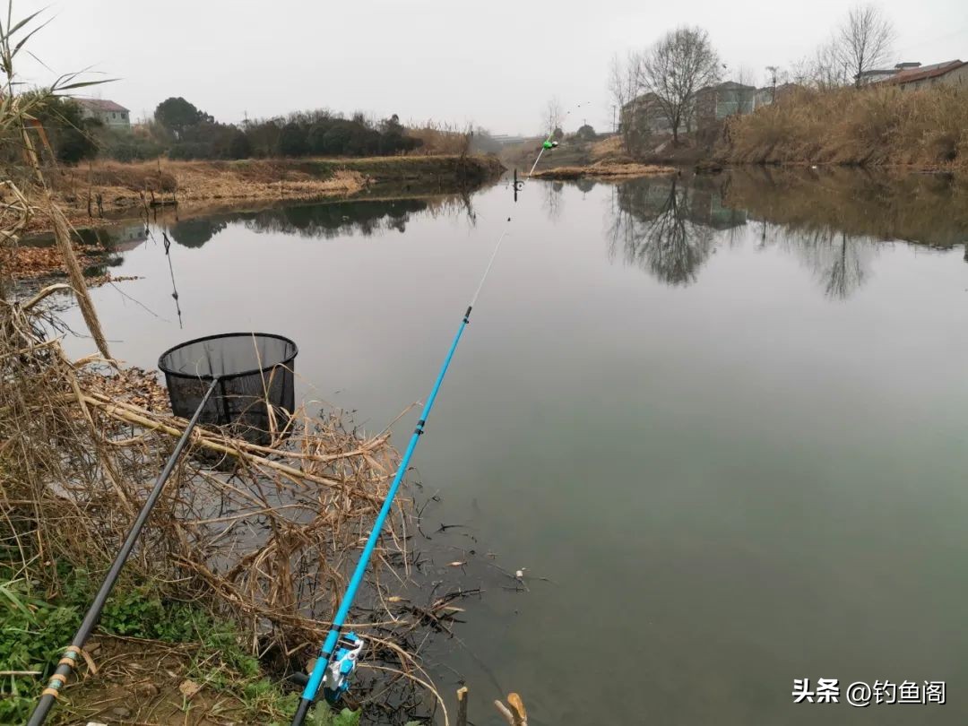 冬天串钩蚯蚓钓大板鲫,筏竿串钩挂蚯蚓冬季钓鱼技巧