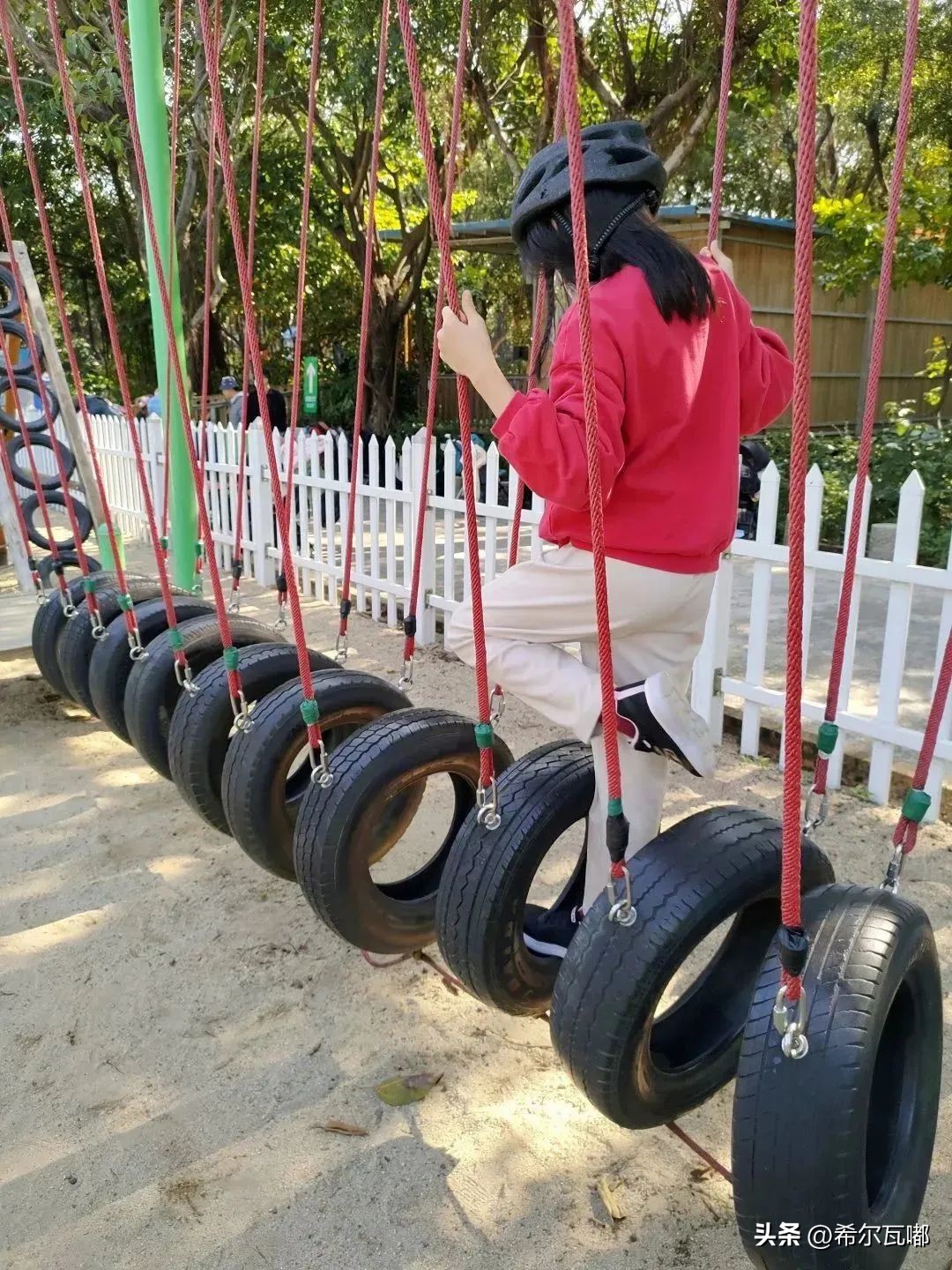 长隆游玩攻略推荐,长隆海洋王国游玩攻略大全视频