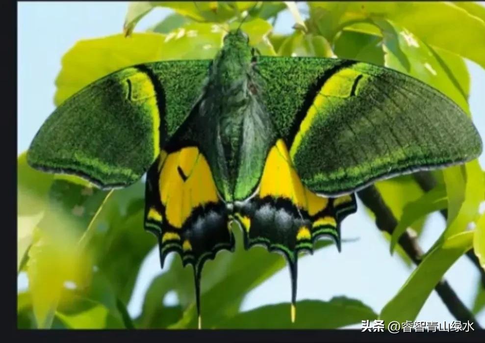 让我痴，让我醉，让我爱你没商量。