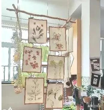 开学环创做起来,幼儿园开学主题墙环创布置