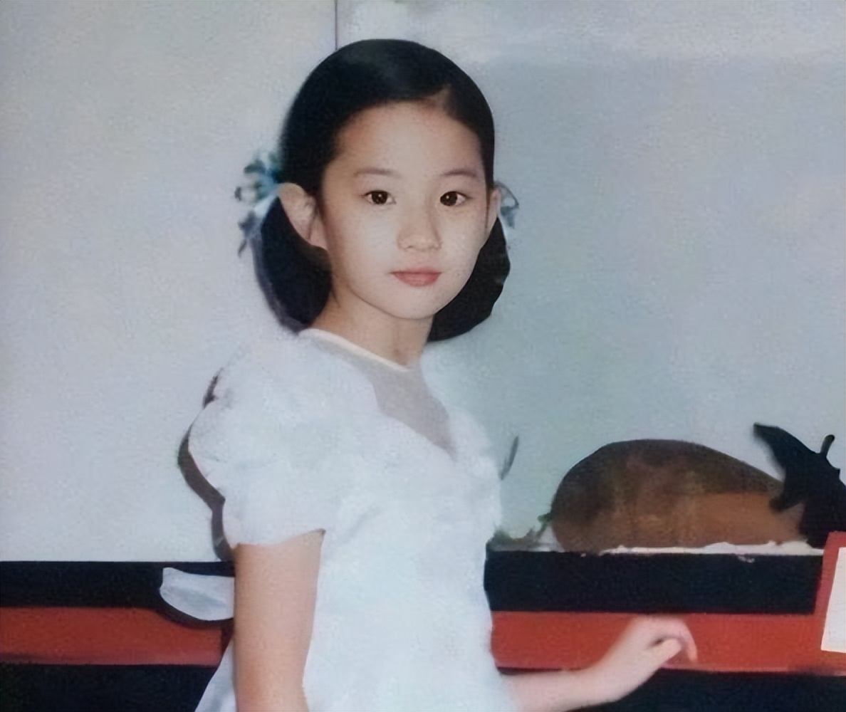 露额头发型会显得阳光,露额头显精神的发型