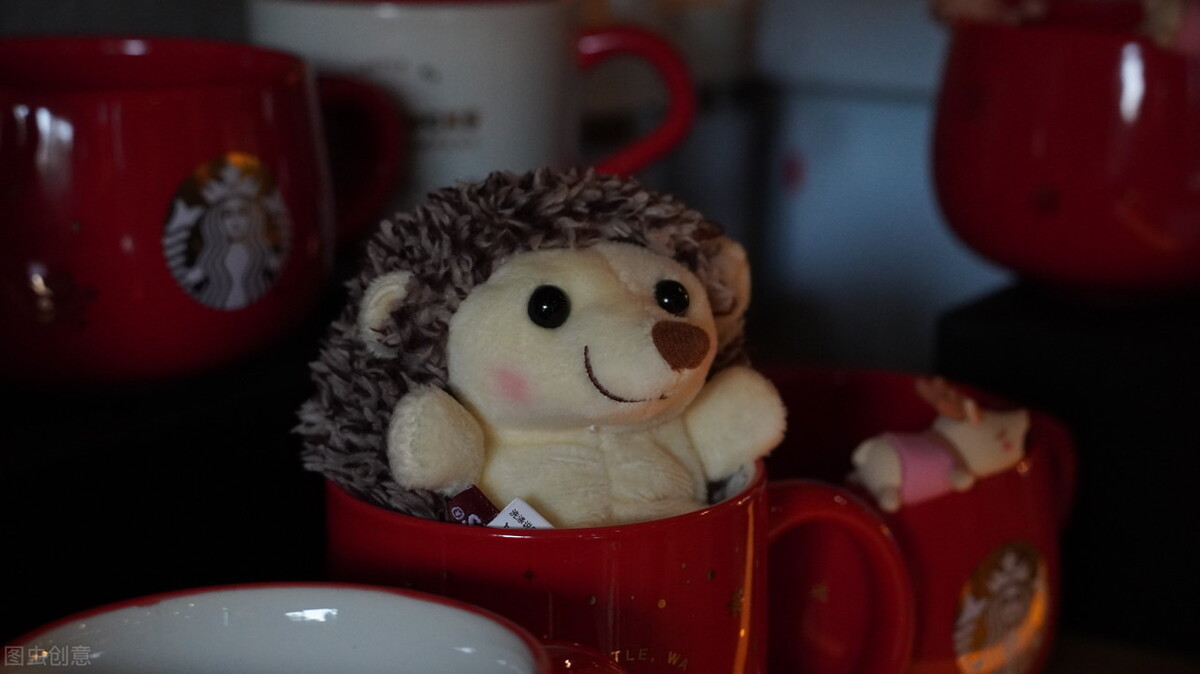 幼儿园科学课小刺猬,幼儿园科学探究滚动的球