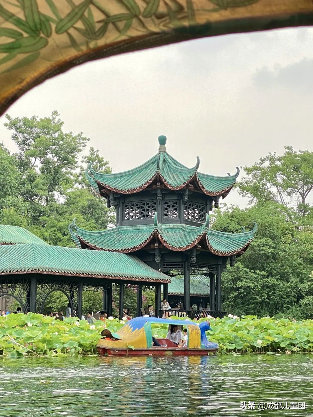 成都周边过气的赏荷胜地,成都赏荷景区