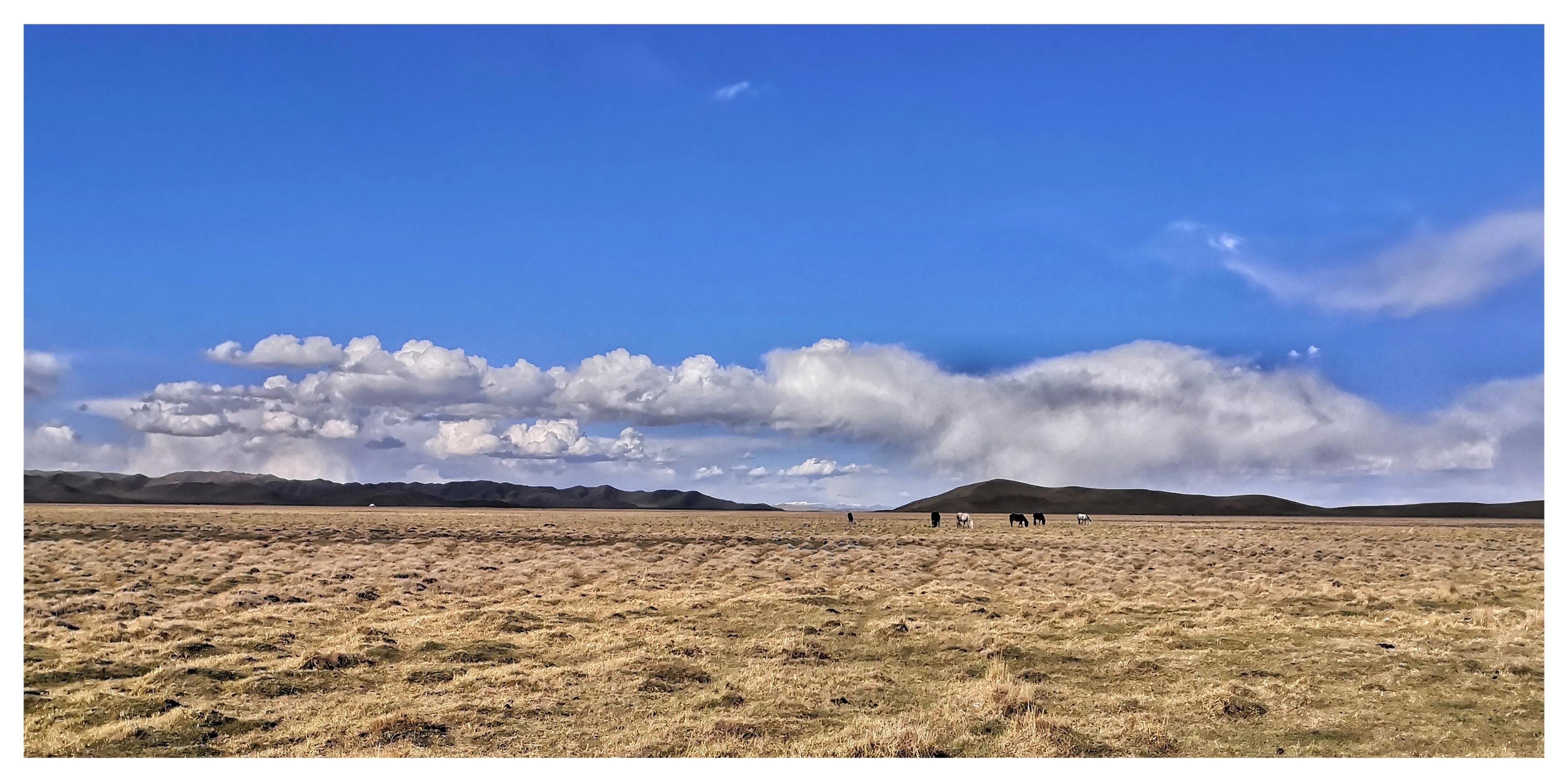 若尔盖五一去怎么样,五一去若尔盖合适吗