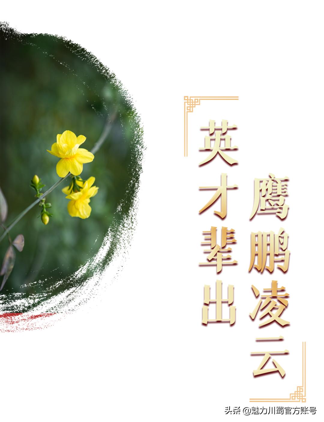 代码009，与未来快乐邂逅丨@中考学子，这里是绵阳中学实验学校